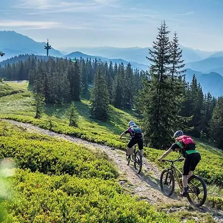 Bergglueck 3* Filzmoos