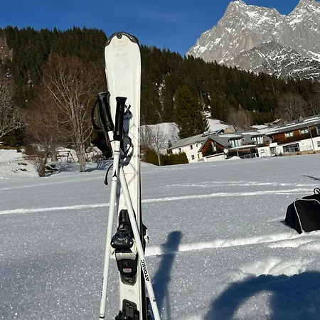 Bergglueck 필즈모스